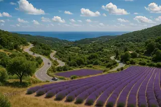 découvrez quel département sépare montpellier de marseille et explorez les richesses géographiques et culturelles de cette région du sud de la france.